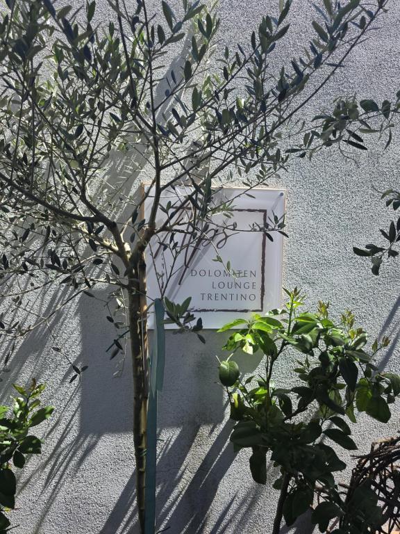 Φυσικό τοπίο κοντά σε αυτό το διαμέρισμα