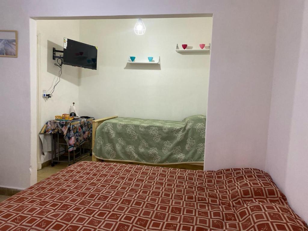 a bedroom with a bed and a tv in a room at Departamento Adrián in Mar del Plata