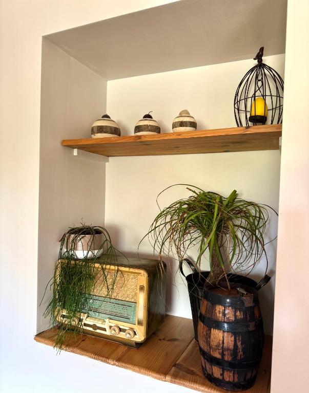 Gite de charme à 10 min de Narbonne - 10