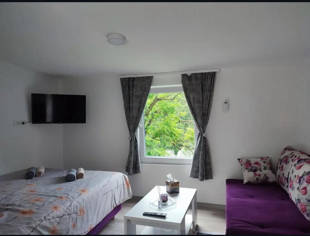 Gallery image of Georgeous apartment #3 in Foča