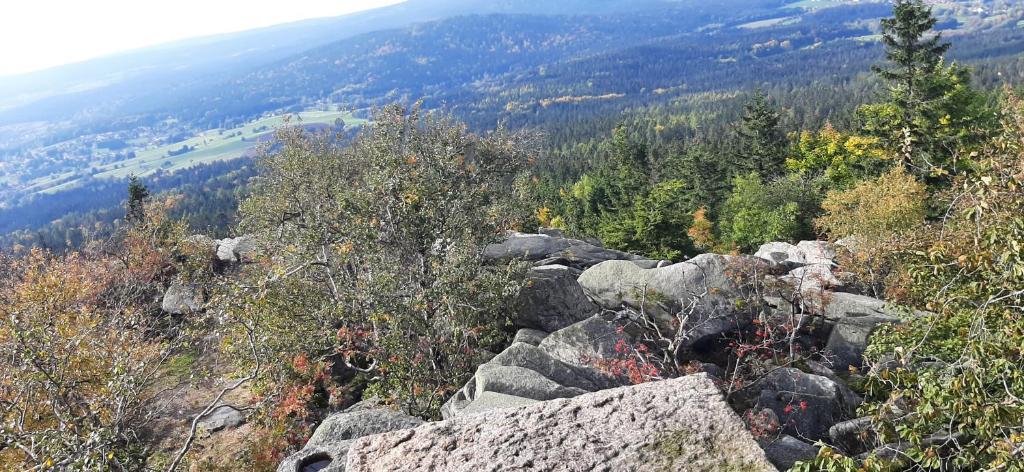 a view of a mountain with rocks and trees at Ferienwohnung Fichtelgebirge in Brand