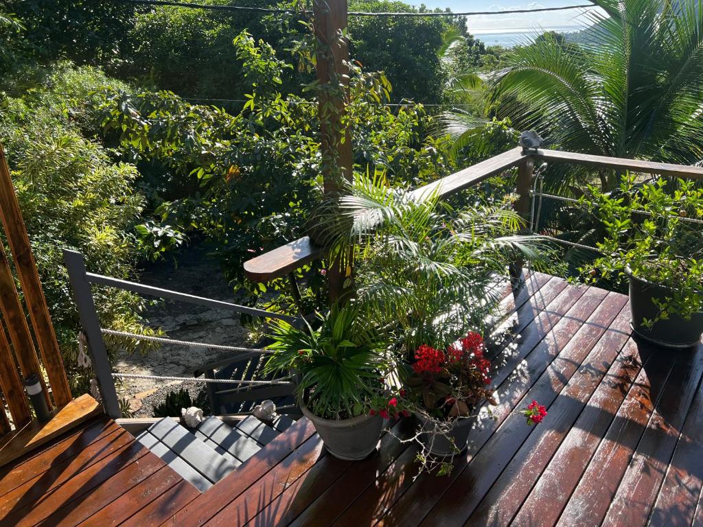 Fare ANATEA - photo 12 - Moorea, Polynésie