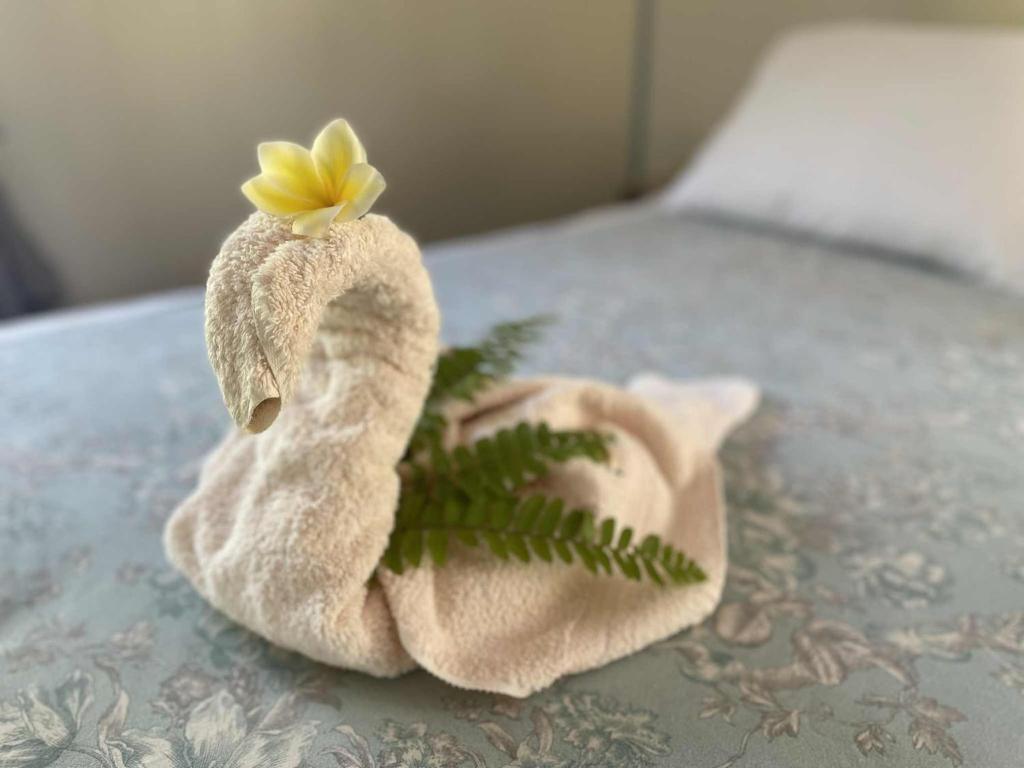 Kaikea Lodge, Rangiroa - photo 8 - Rangiroa, Polynésie