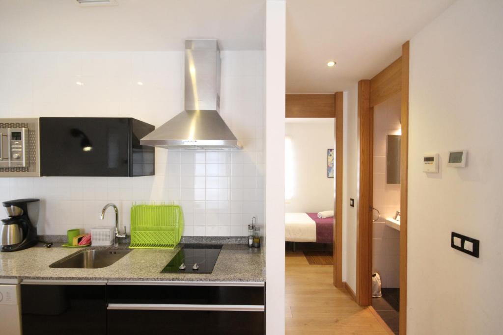 Kuchyň nebo kuchyňský kout v ubytování Apartamentos Tito San Agustin