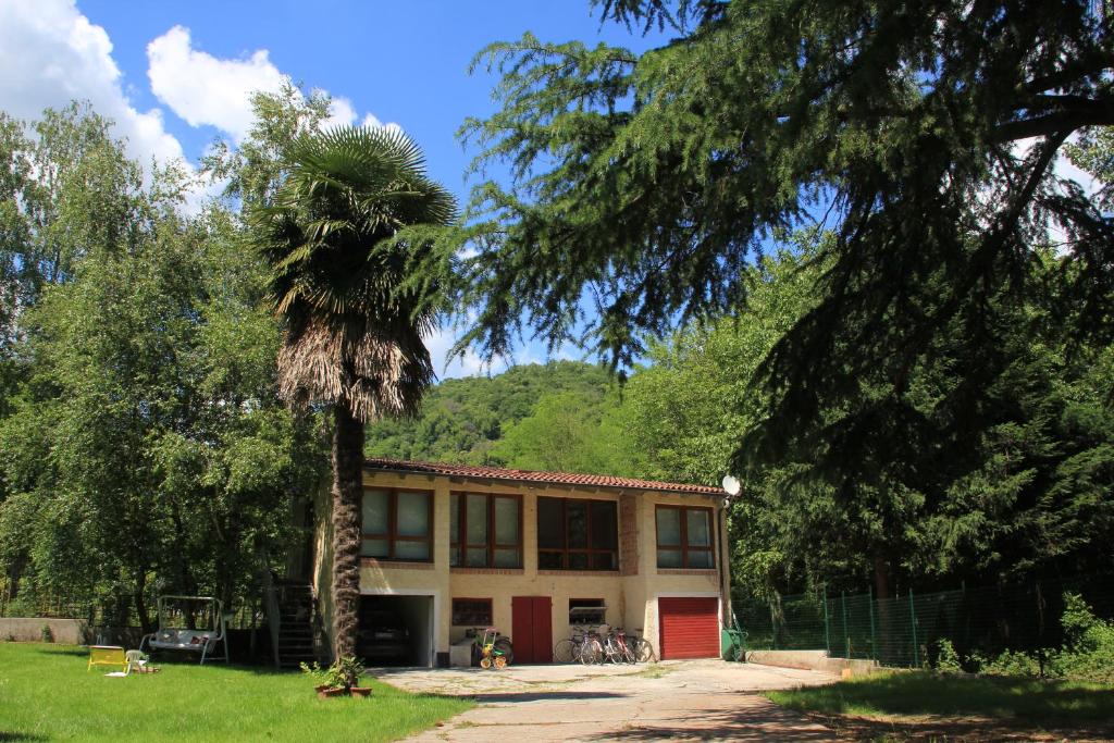 una palma di fronte a un edificio di La Casa dei Cedri a Fanna