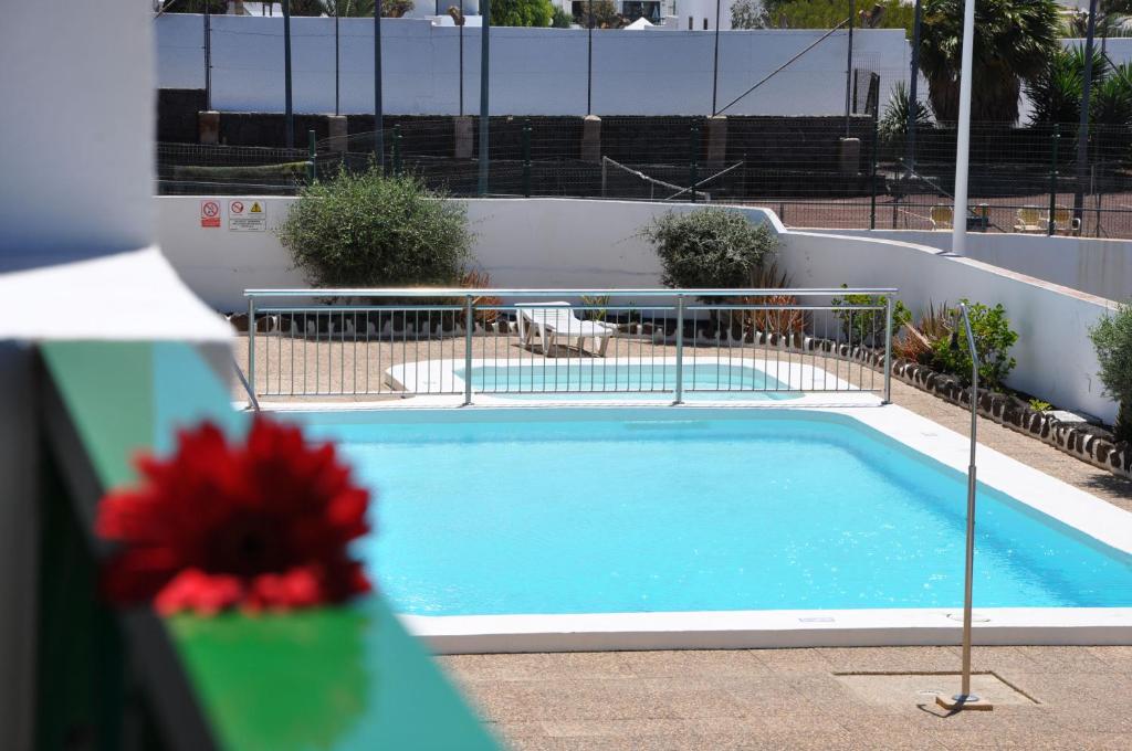 une piscine bleue entourée d'une clôture dans l'établissement Apartamentos Dunia 211, à Puerto del Carmen