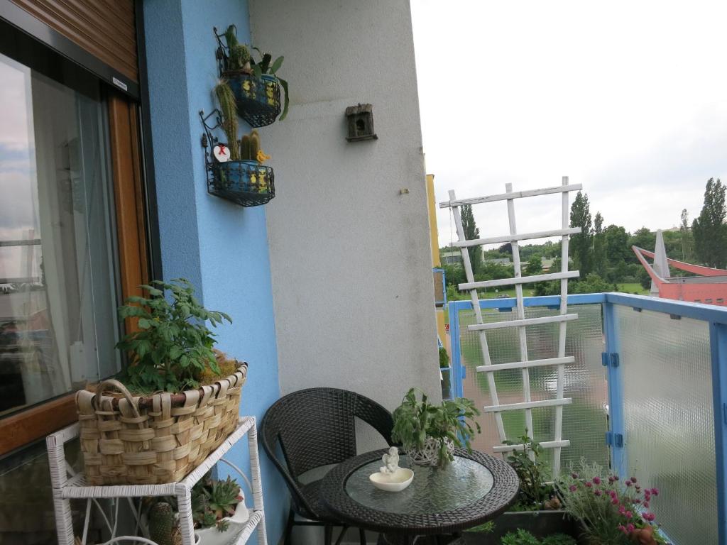 Balkón nebo terasa v ubytování Homestay Poděbrady