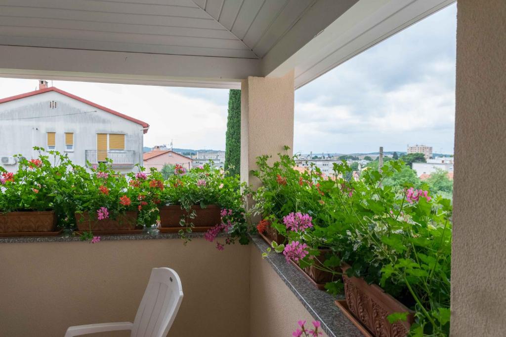 Balkón nebo terasa v ubytování Apartments Hortensia