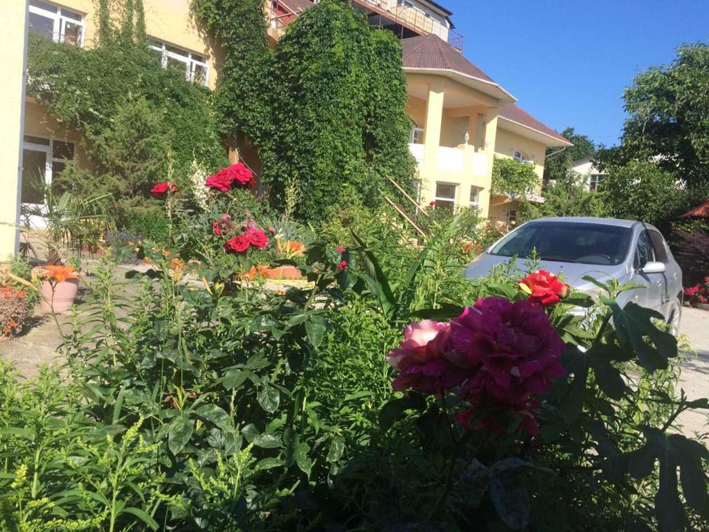 Судак гостиница ай георгий