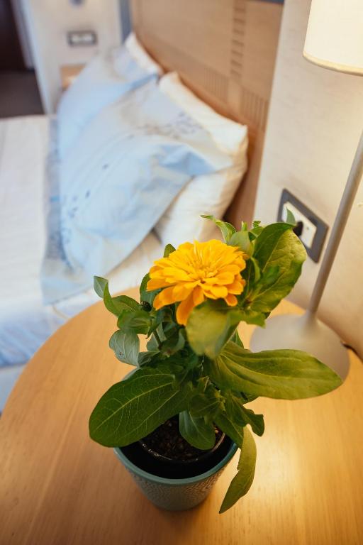 Alexandros Boutique Hotel - 10