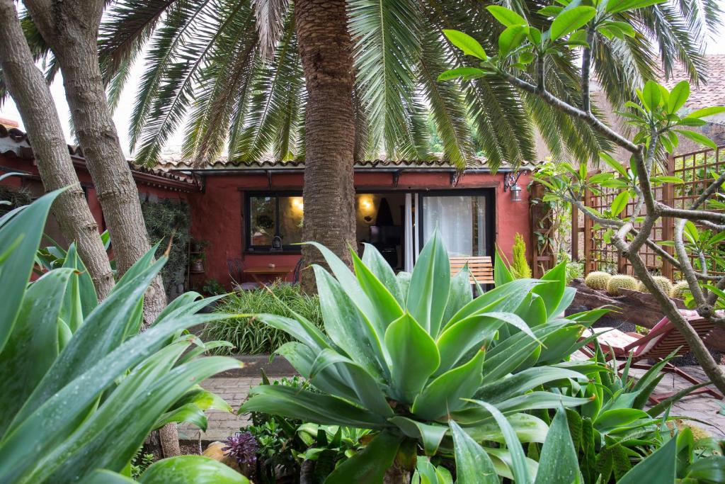 un complejo con palmeras frente a un edificio en Casa Palmera, en Tacoronte
