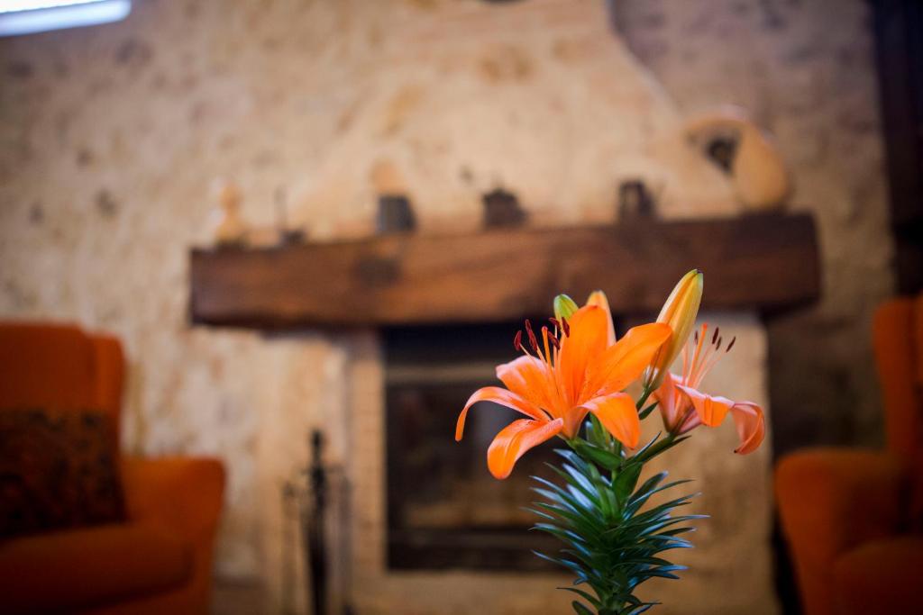 un vaso con fiori d'arancio di fronte al camino di Casa Rural Casona la Beltraneja a Belmonte