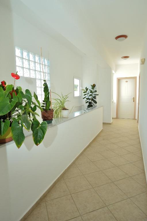 a hallway with potted plants on a white wall at Kassiani Studios in Plakias