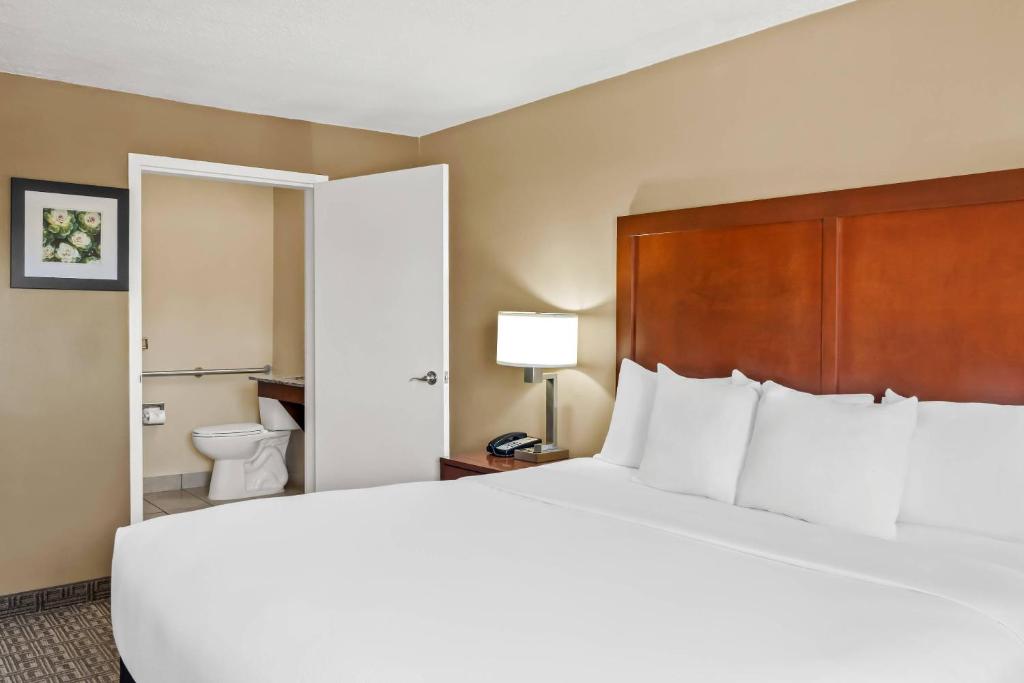 Comfort Inn Santa Fe South - Camera King - Accesso Disabili/Non Fumatori