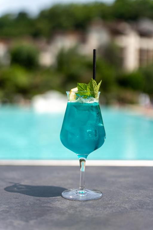 Hôtel Lyon Métropole & Spa - Resim 26