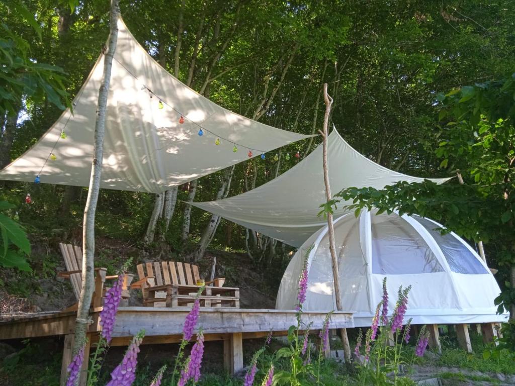 Jardí fora de Wig Wam Morvan