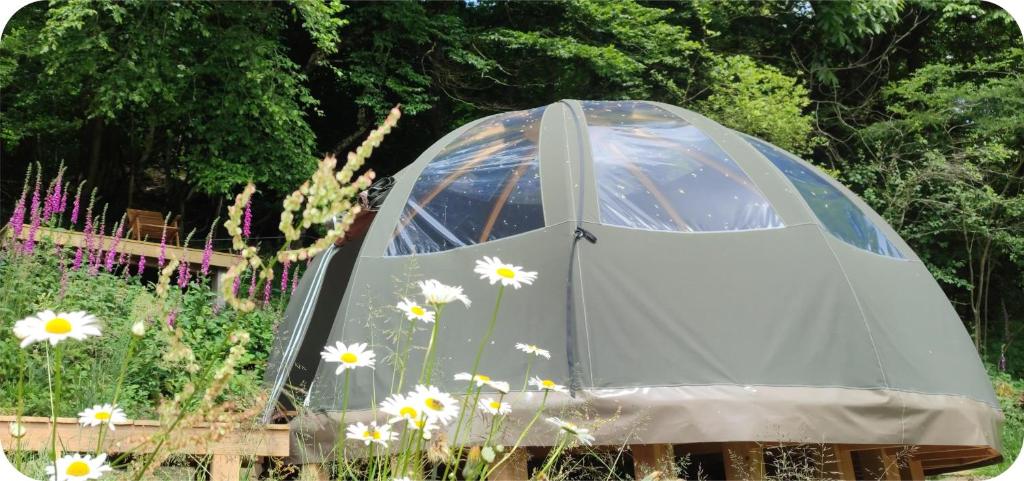 Jardí fora de Wig Wam Berger