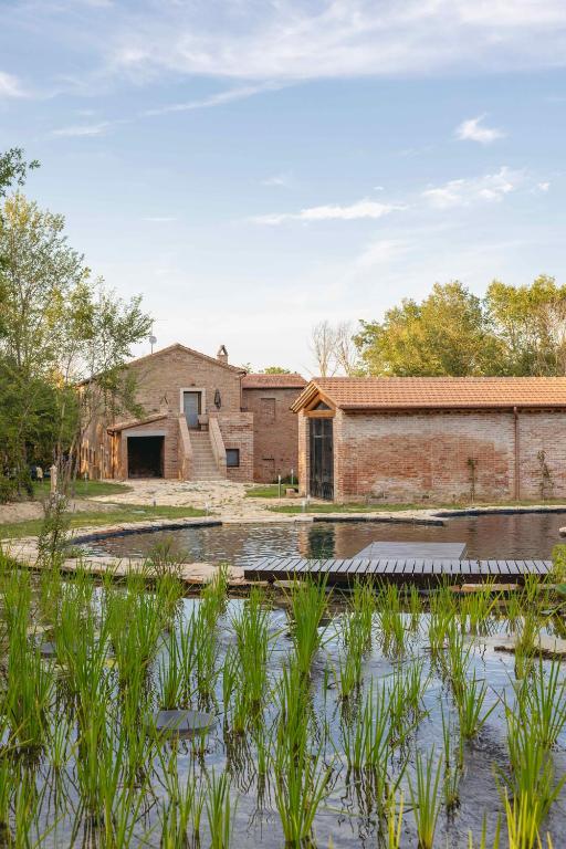 a house with a pond in front of it at Agriturismo Le Cerrete in Chiusi