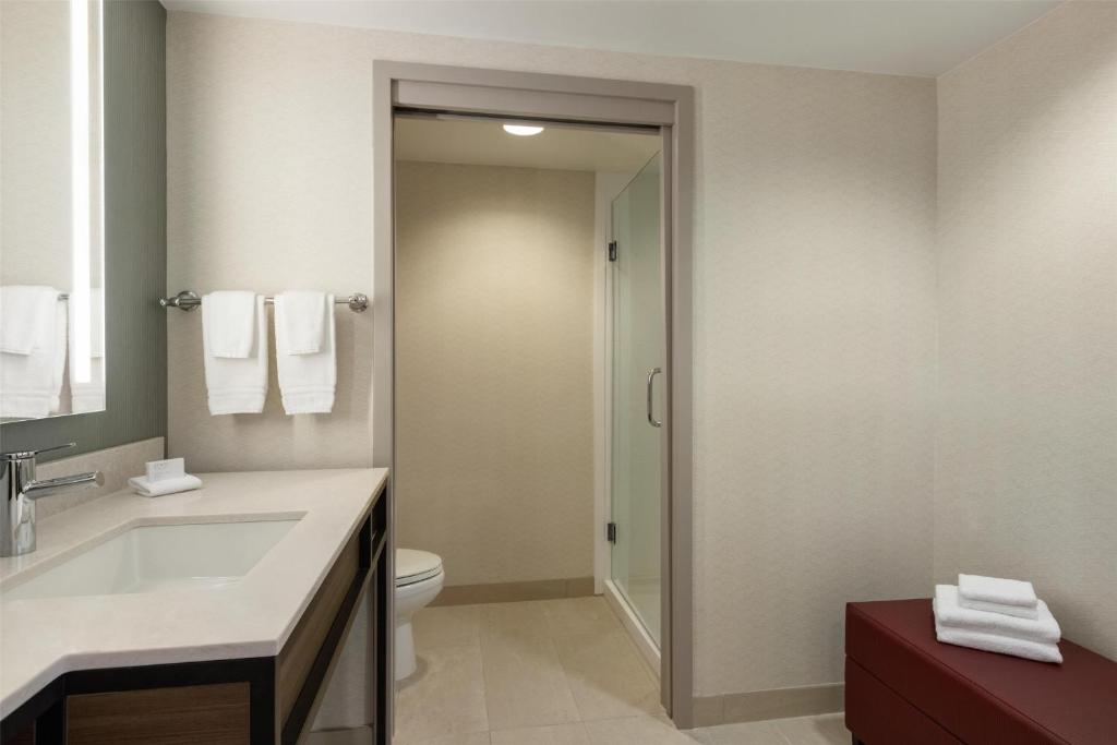 Hilton Garden Inn Atlanta Downtown - 