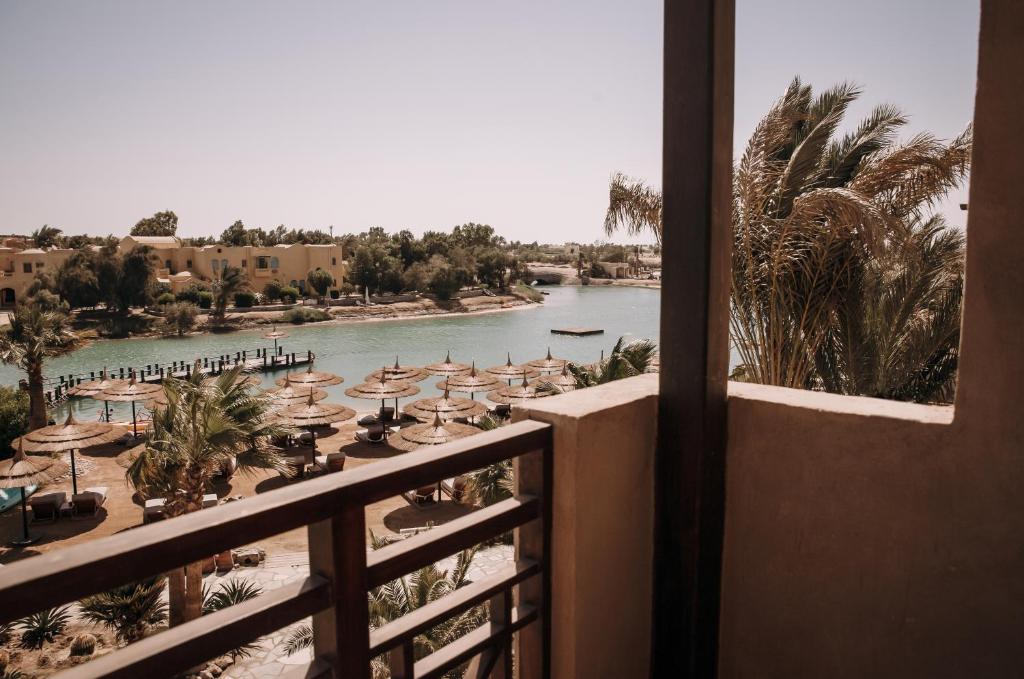 Cook’s Club El Gouna (Adults Only) - 5
