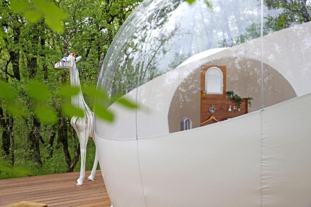 une girafe joueuse est debout dans un dôme de verre dans l'établissement Coeur de bull', à Cahuzac-sur-Vère