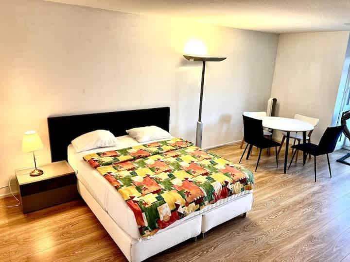 Brand New City Center downtown apartment, Zurich Brauer - Self Checkin - Resim 8