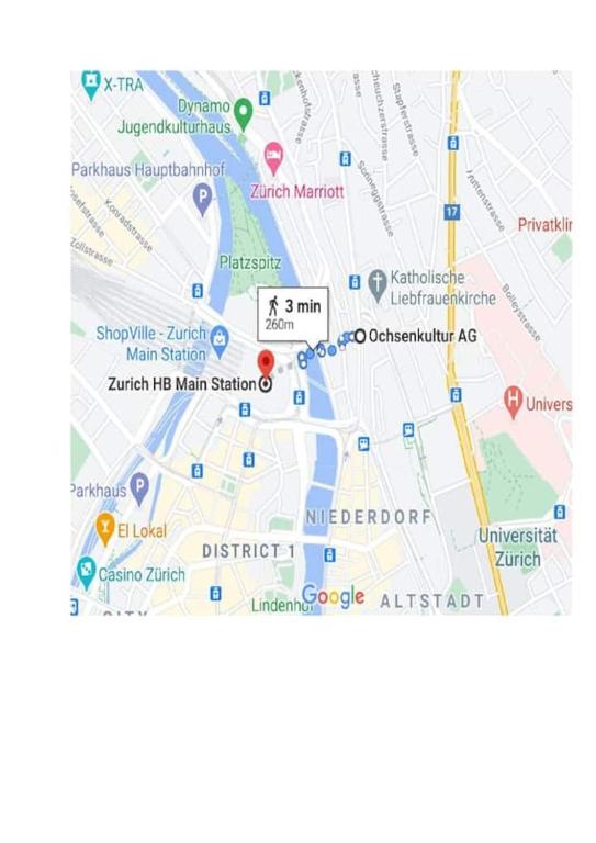 Leon Studio Steps from Zurich HB Station - Resim 9