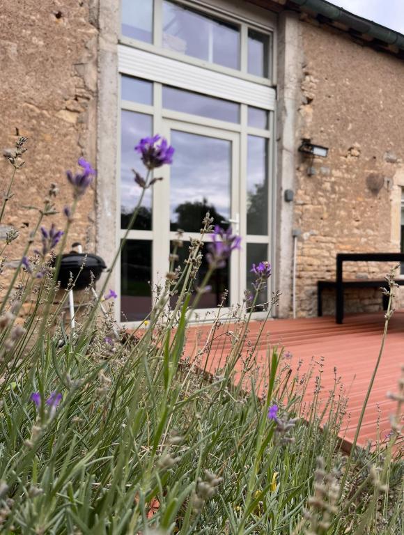 - un jardin avec des fleurs violettes devant une fenêtre dans l'établissement La petite maison de Marie, à Port-sur-Saône
