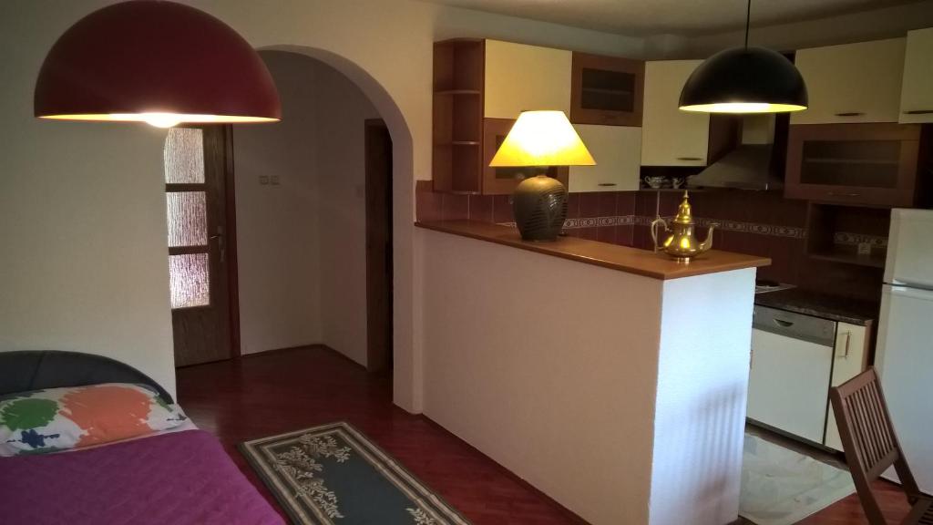 Kuchyň nebo kuchyňský kout v ubytování Guest House Goa Mostar