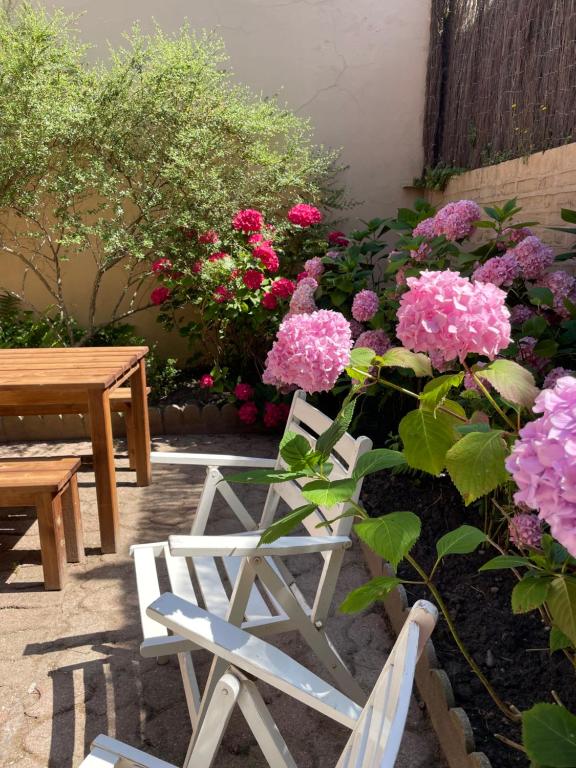 Κήπος έξω από το Villa SUZANNE