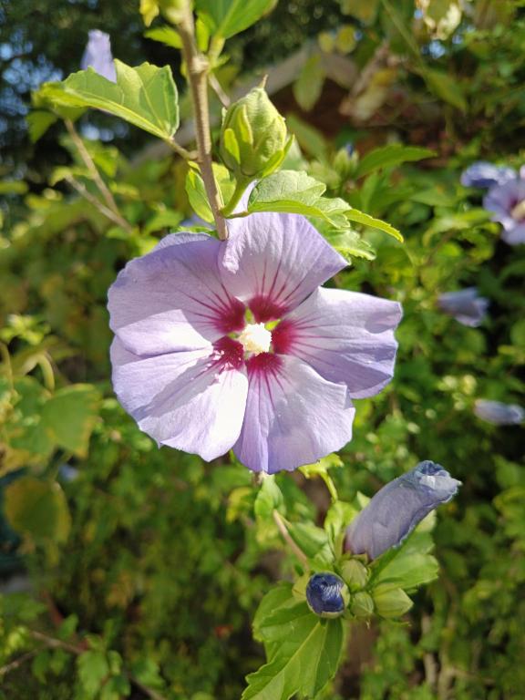 Welcome to Munich by Martina - 7