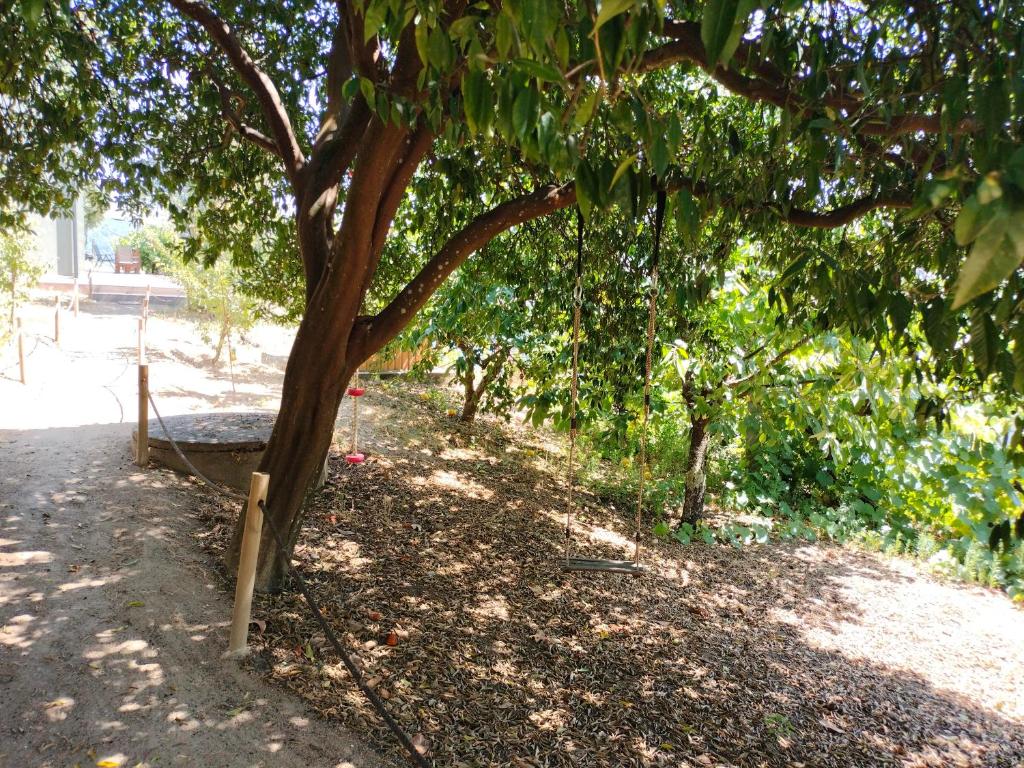 Afbeelding uit fotogalerij van Quinta Vale do Cabo in Riba Douro