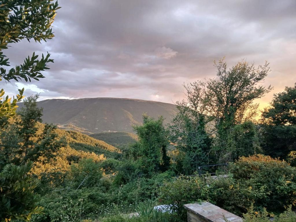 La Tavola Dei Cavalieri - 15