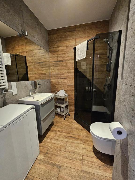 Steam Park Rakowicka Koper Apartment - 1