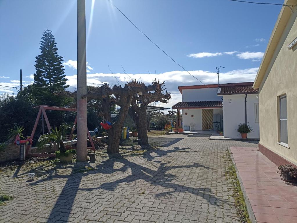 a garden with a tree in the middle of a driveway at B&B Bonvino in Scanzano
