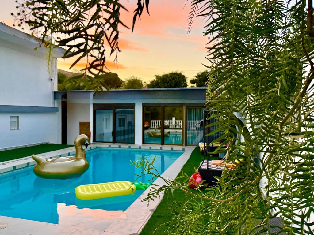 a swimming pool with a swan and a house at Kiwidestiny Alicante in San Juan de Alicante
