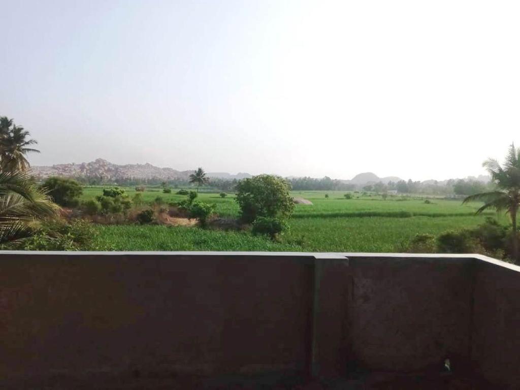 a view of a field with trees and a wall at Shiva Homestay Hampi in New Hampi