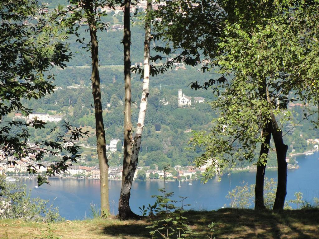 Příroda nedaleko apartmánu