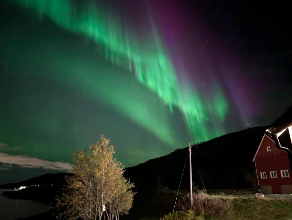 an aurora in the sky over a house and a barn at Cozy familyhouse with free parking & fantastic view in Tromsø