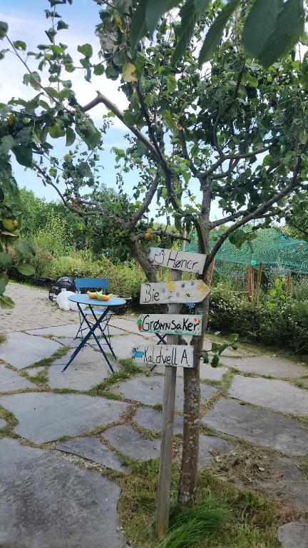 Κήπος έξω από το Kaldvell Apartman