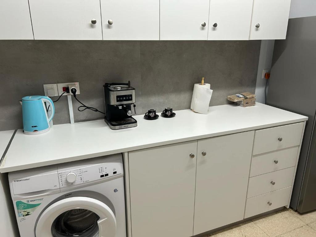 パラリムニにあるThe relaxing apartmentのキッチン(洗濯機、カウンター付)