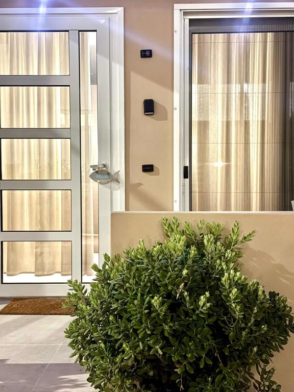 a glass door with a plant in front of it at XeVa Studio in Mastihari