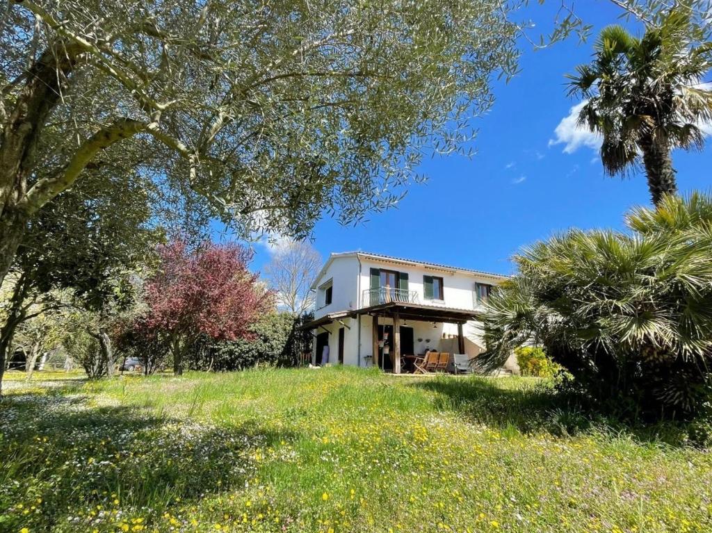 a house on a hill with trees and grass at Villa Silvana Quiet Escape in Bolsena