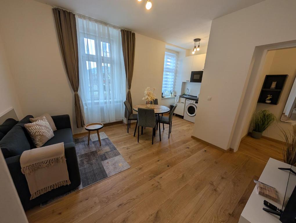 TV a/nebo společenská místnost v ubytování Flataid Apartment Prankergasse direkt beim Bahnhof