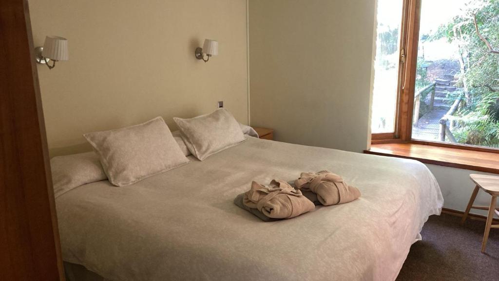 Hotel y Termas Huife