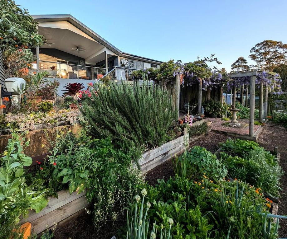 a garden in front of a house with plants at Misty River in Macksville