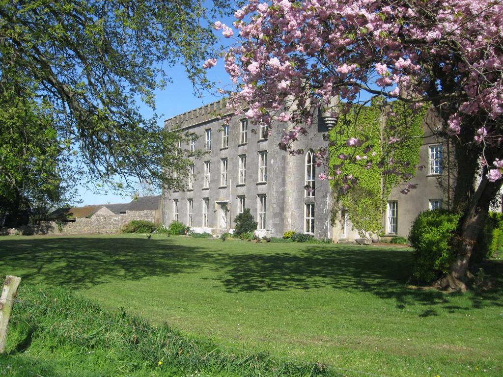 an old building with a tree in front of it at Ash Hill B & B in Kilmallock