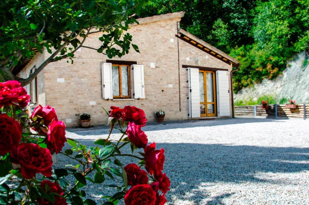 uma casa com rosas vermelhas em frente a um edifício em Calmancino delle Selve em Urbino