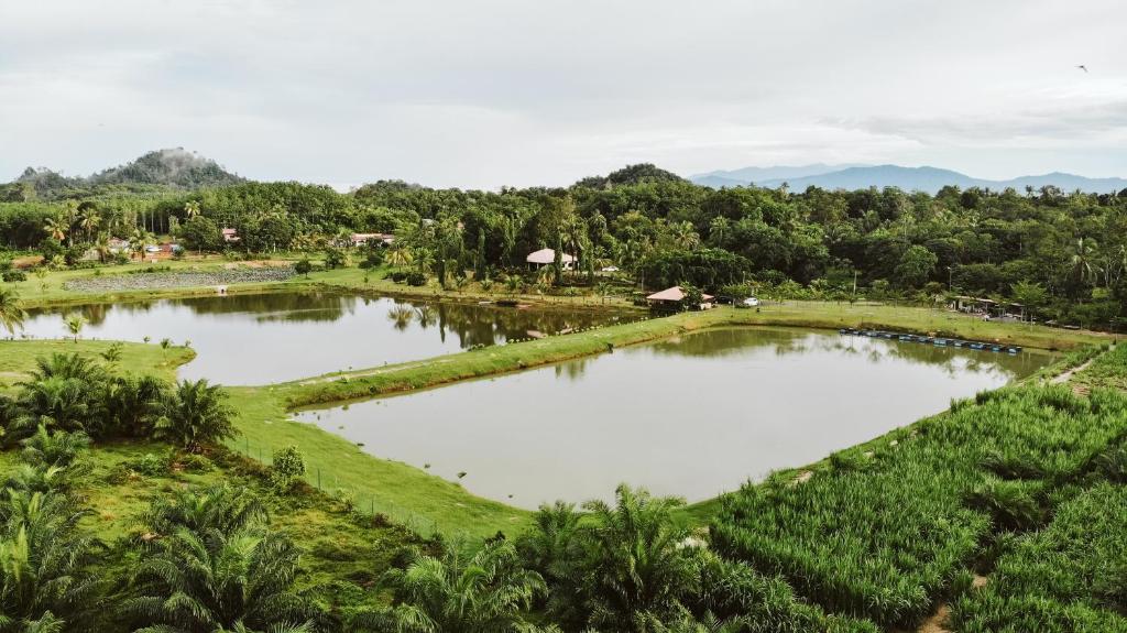 an aerial view of two ponds in a field at The Farm in Paya Rewak