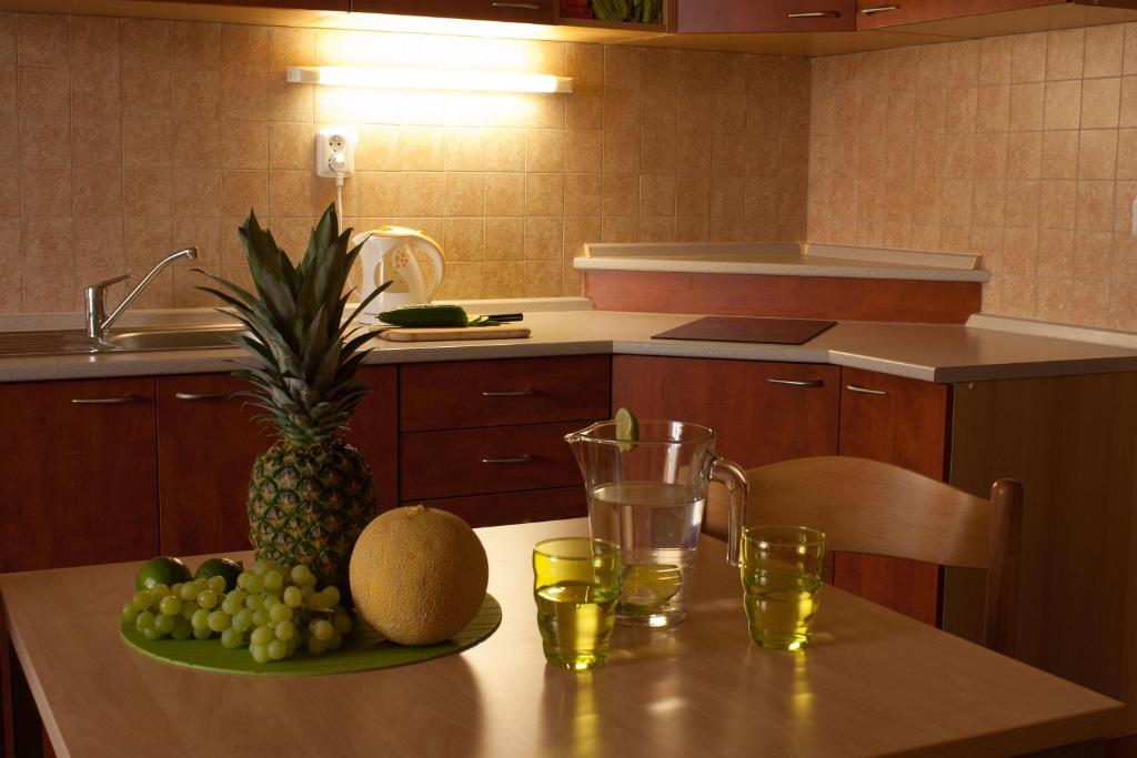 Kuchyň nebo kuchyňský kout v ubytování Apartmány REKO Kadaň